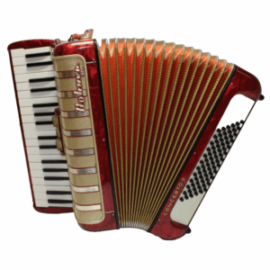 Hohner CONCERTO II Akkordeon